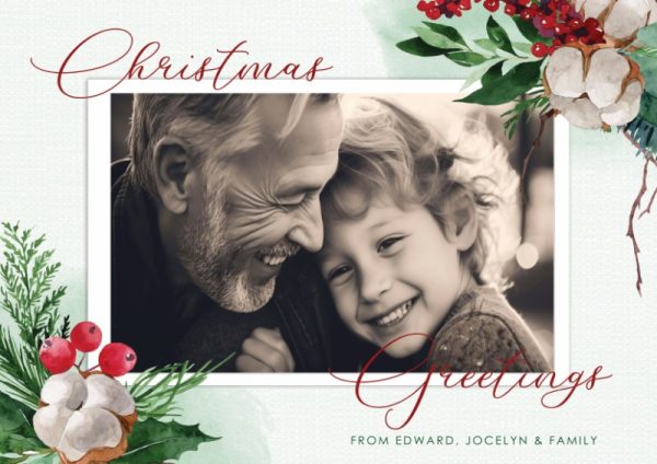 Own Photo - Holly Berries