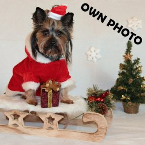 Bespoke Christmas Cards
