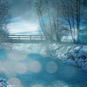 Water under the Bridge Christmas Card