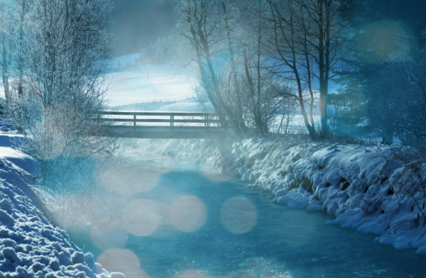 Water under the Bridge Christmas Card