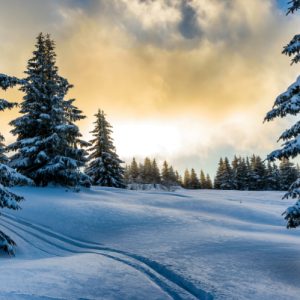 Sunrise in the Snow Christmas Card