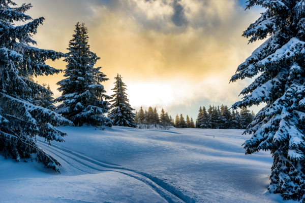 Sunrise in the Snow Christmas Card