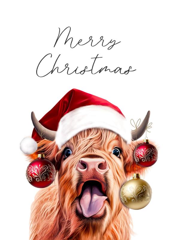 Highland Cow in Santa Hat Christmas Card