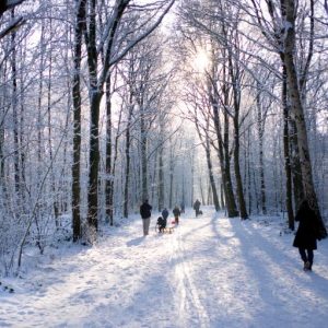 Snowy Woodland Family Walk Christmas Card