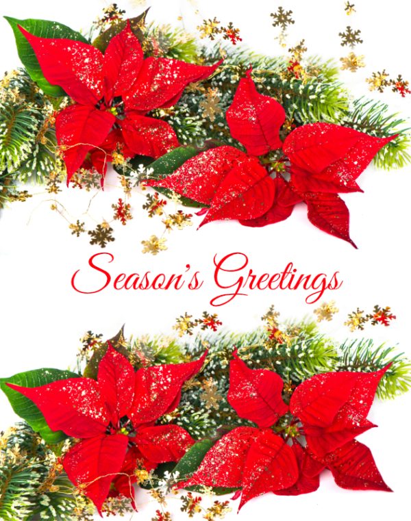 Red Poinsettia and Pine Garland Christmas Card