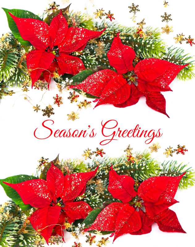 Red Poinsettia and Pine Garland Christmas Card