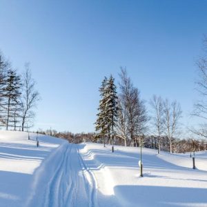 Crisp Snow Trail Under Blue Sky Christmas Card
