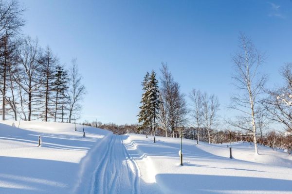 Crisp Snow Trail Under Blue Sky Christmas Card