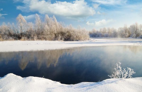 Frosted Riverbank with Blue Sky Christmas Card