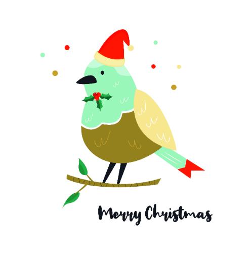 Cute Robin in Christmas Santa Hat Christmas Card