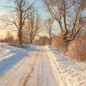 Golden Light on Snowy Lane Christmas Card