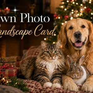 Your Photo Full Image - Landscape