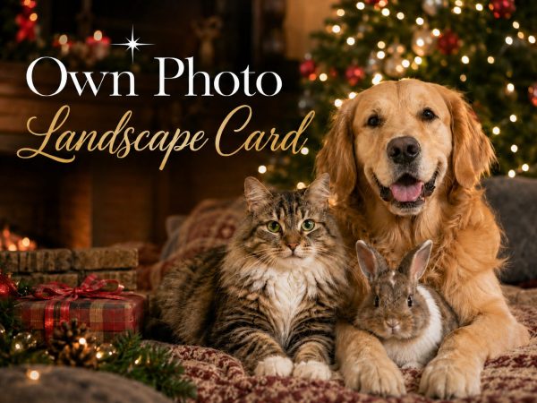 Your Photo Full Image - Landscape