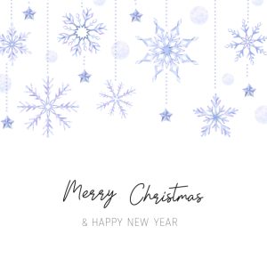Purple Decorations Christmas Card